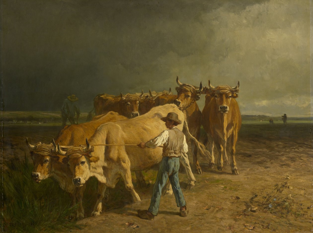 牛犁，1860 作者 永恒埃米尔特罗永