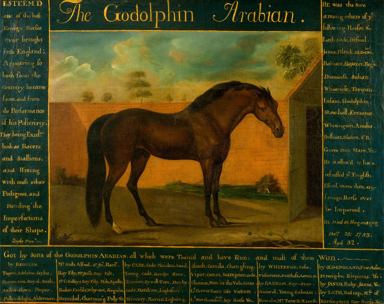 Godolphin阿拉伯人 作者 丹尼尔·奎格利