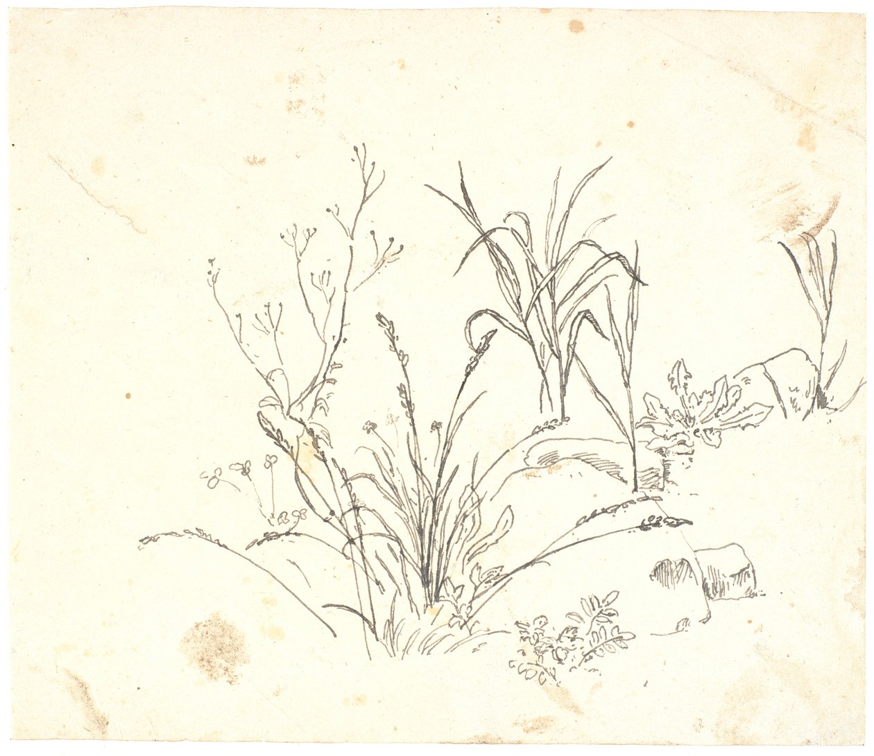草地 作者 Dankvart Dreyer