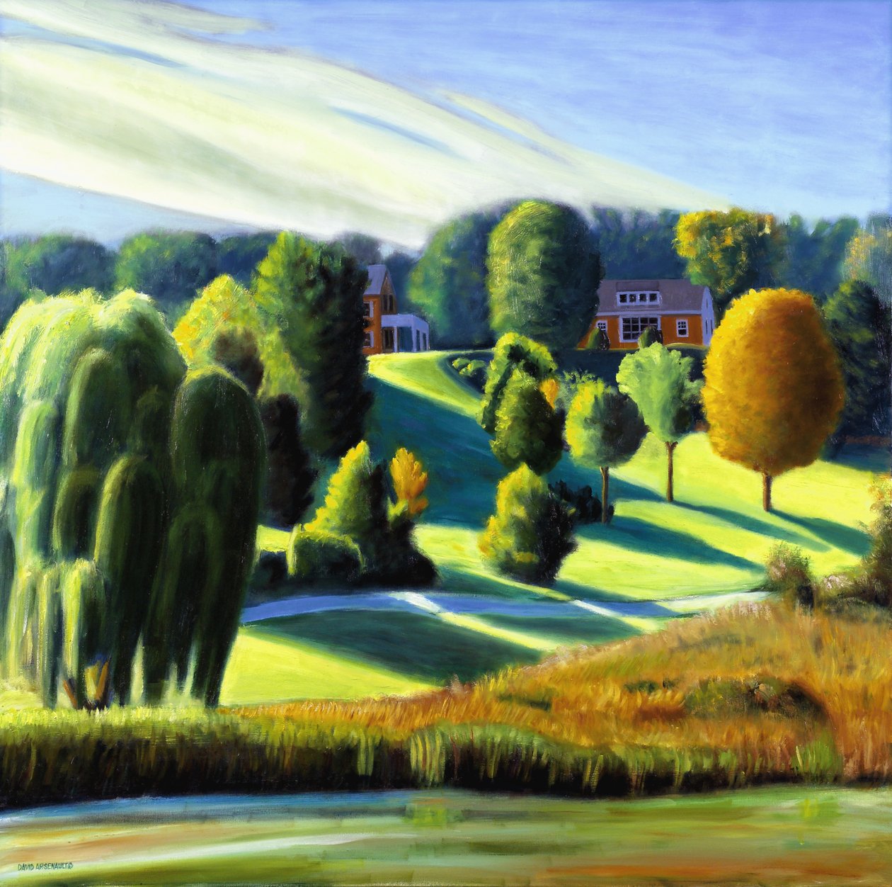 Hilltoppers，2006 作者 大卫·阿森诺（David Arsenault）