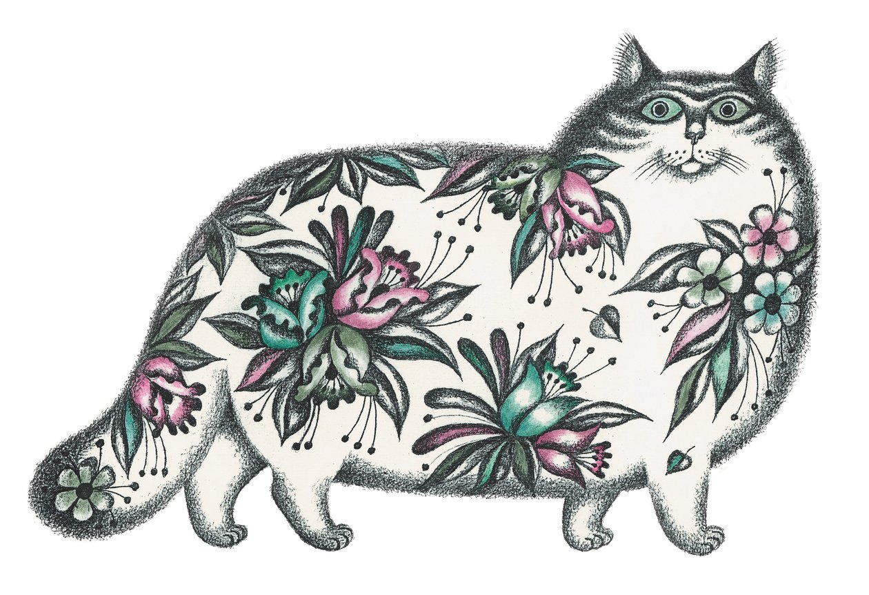 猫 作者 戴维·凯金