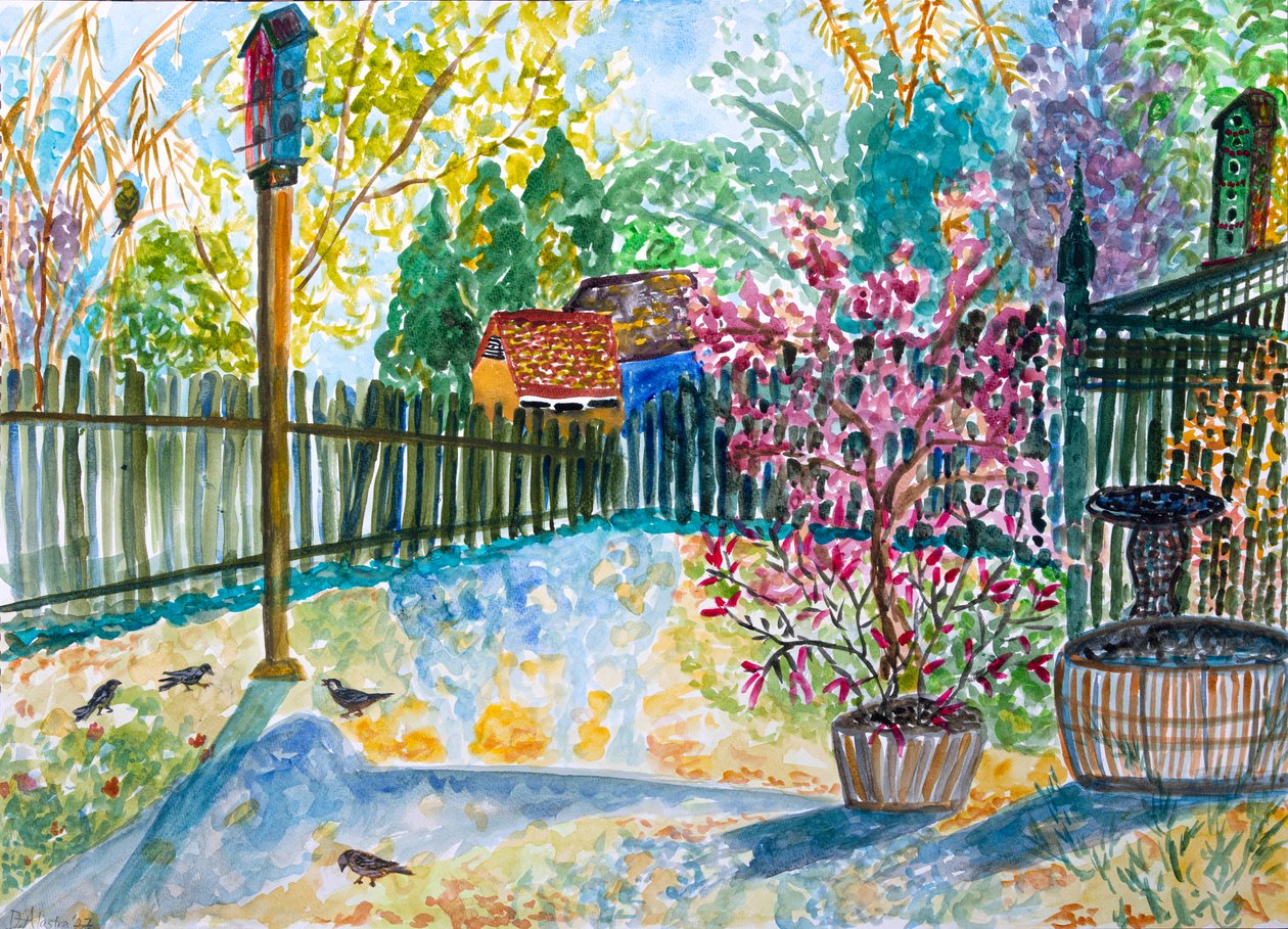  作者 黛博拉·伊芙·阿拉斯特拉