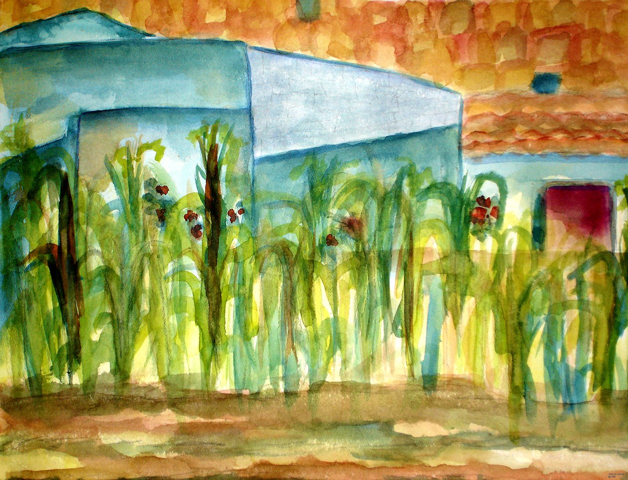 Maiz 作者 黛博拉·伊芙·阿拉斯特拉