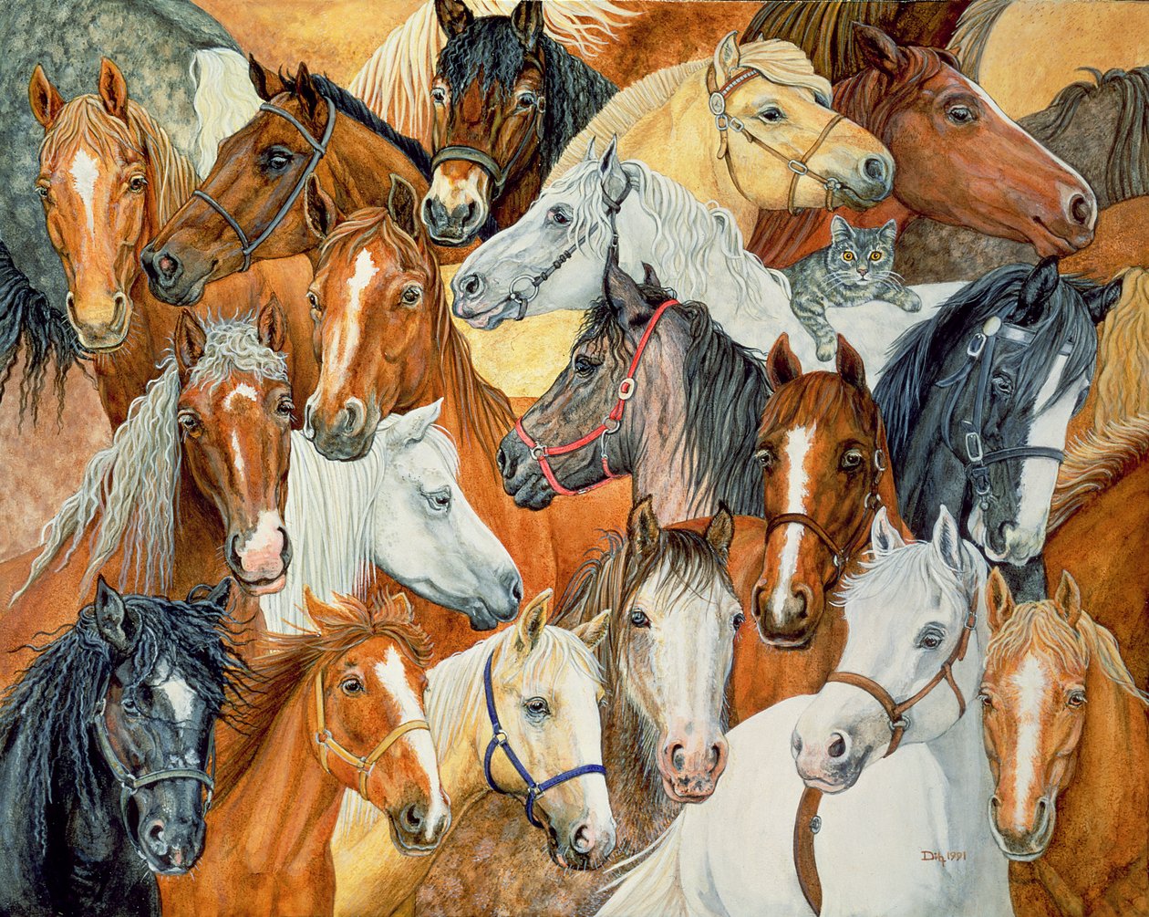 Dees Horse-Blanket 作者 迪兹