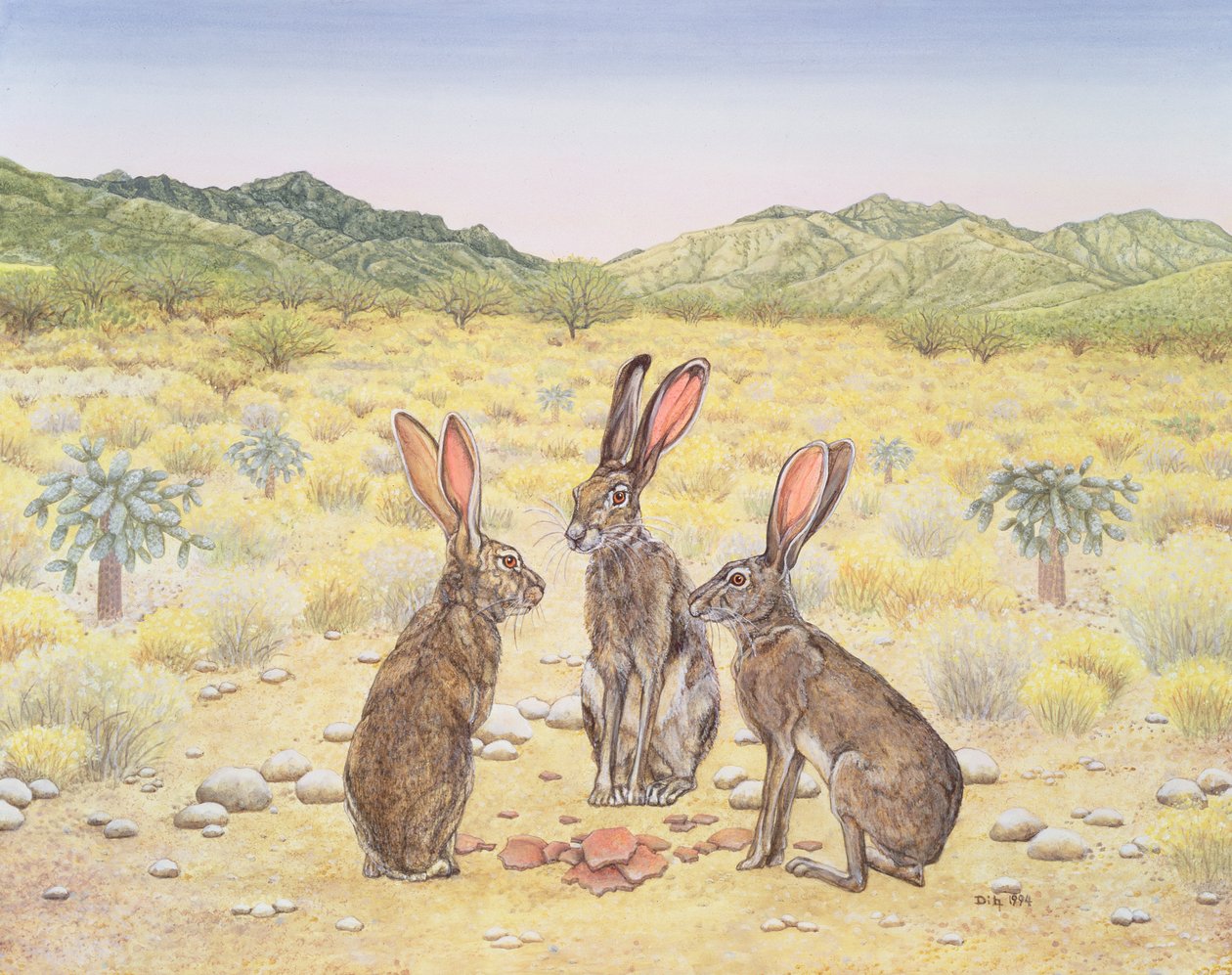 Elkhorn会议，1994年 作者 迪兹
