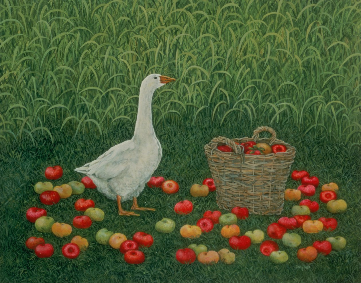 Apple Basket 作者 迪兹