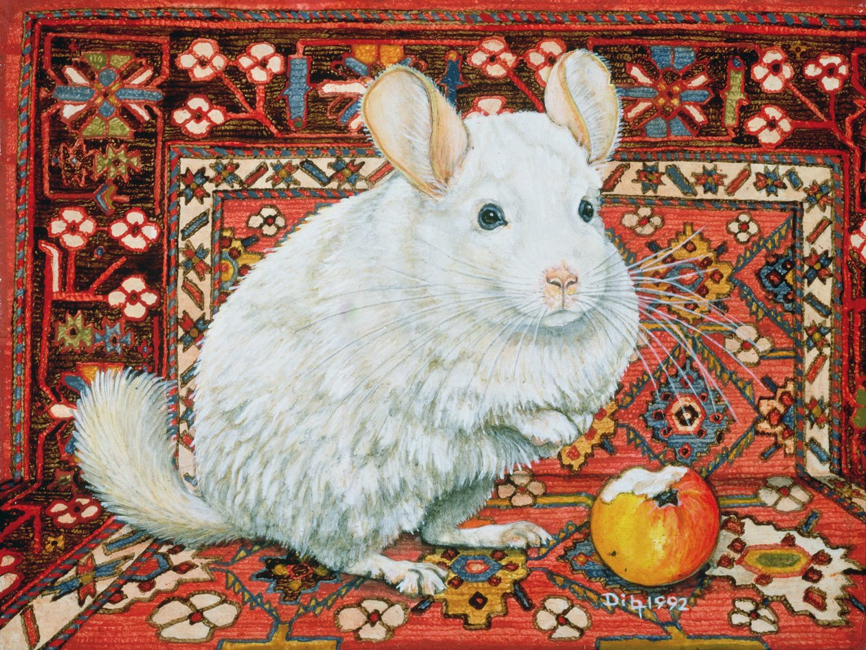 地毯 - 钦奇利亚，1992年 作者 迪兹