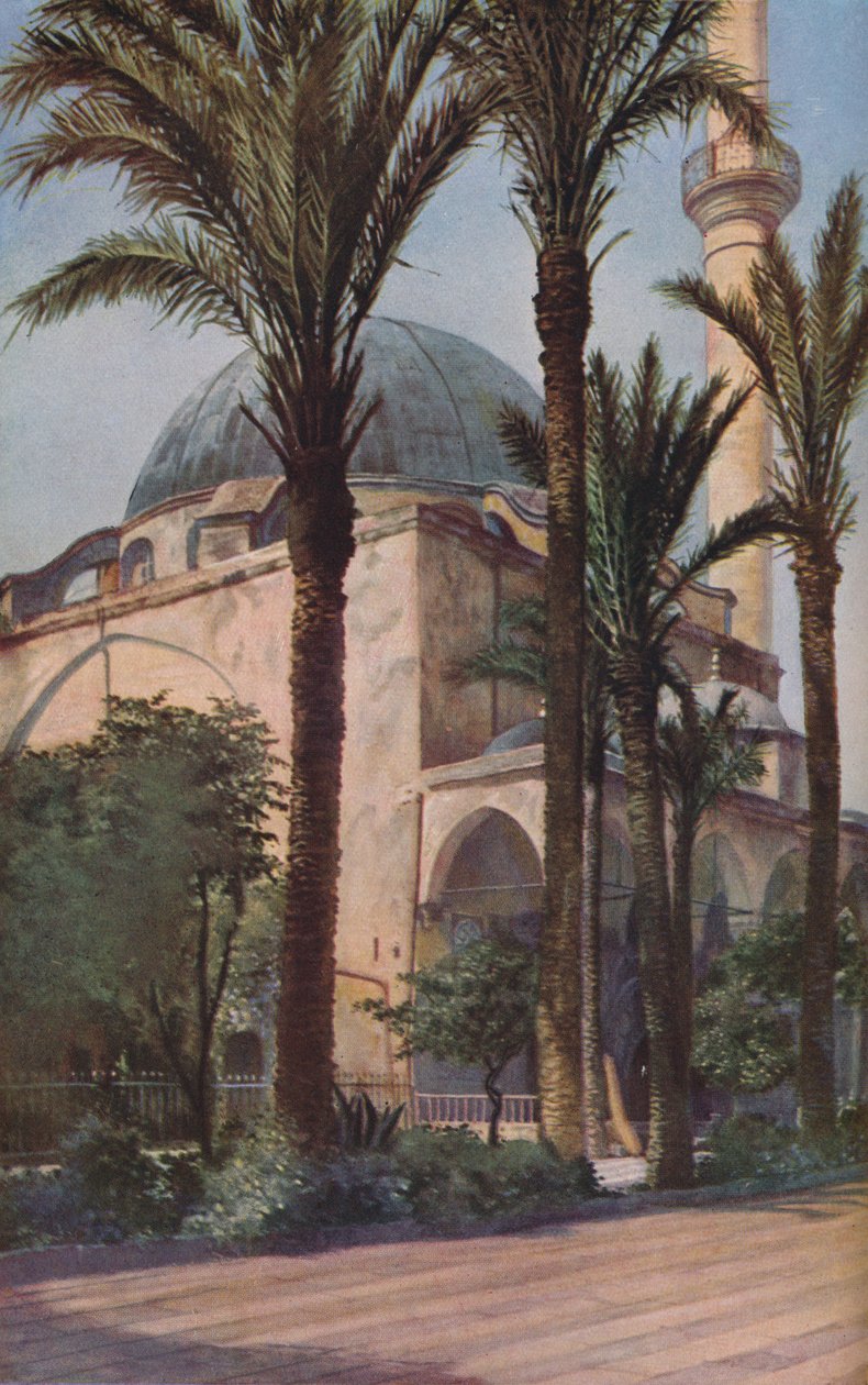 巴勒斯坦，c1930年代 作者 唐纳德·麦克利什