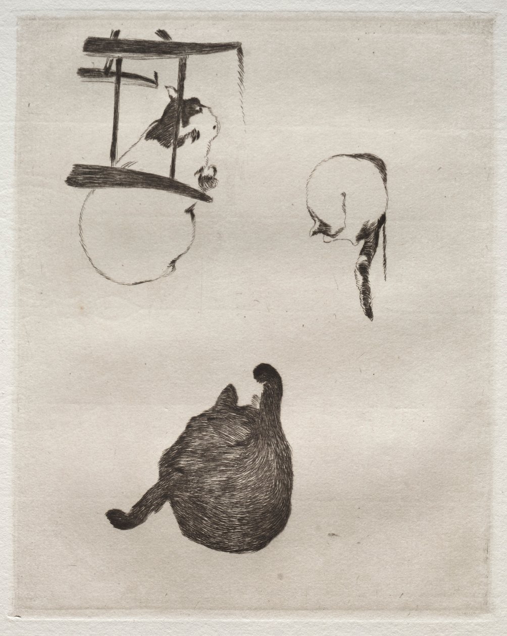 猫，1868-1869年。 作者 爱德华·马奈