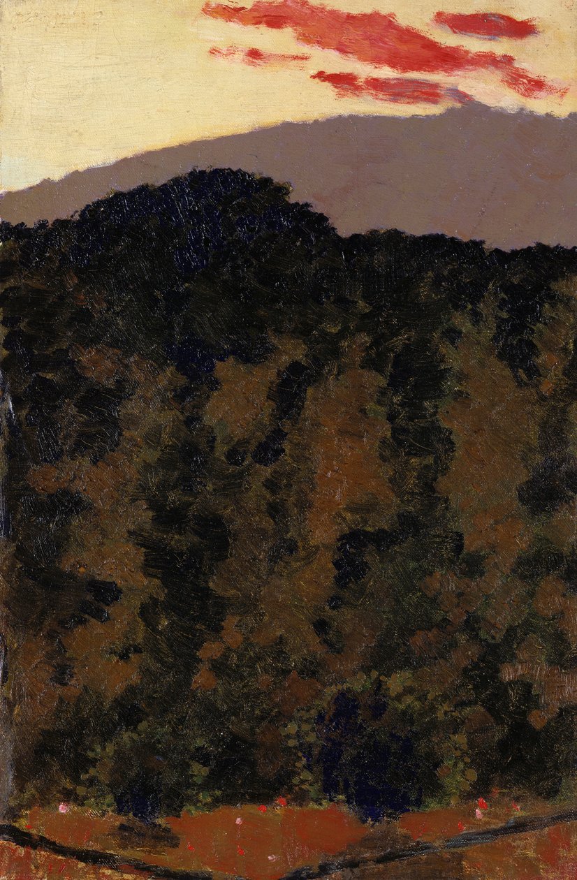 风景，约1900年 作者 爱德华·维拉德