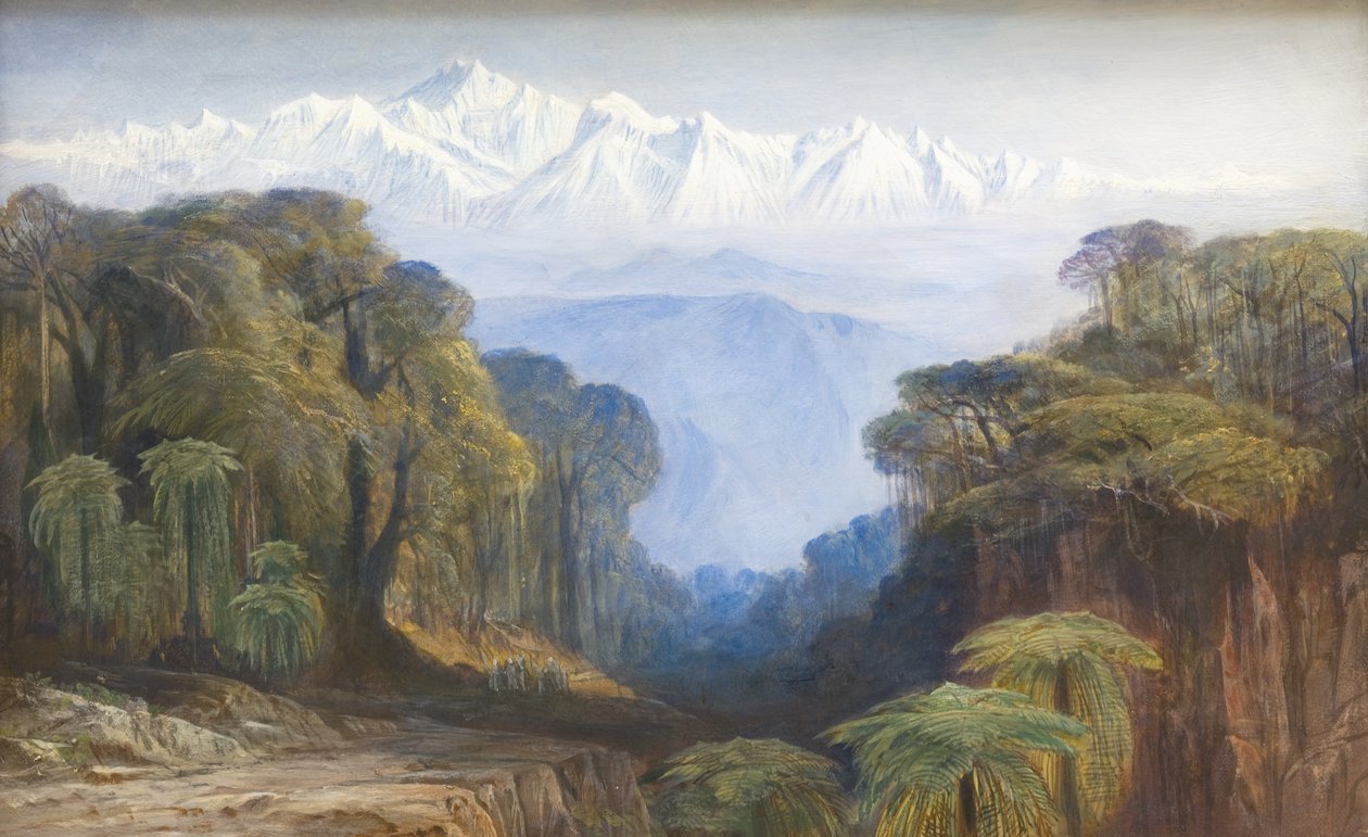金钦琼格，1877年。 作者 爱德华·李尔