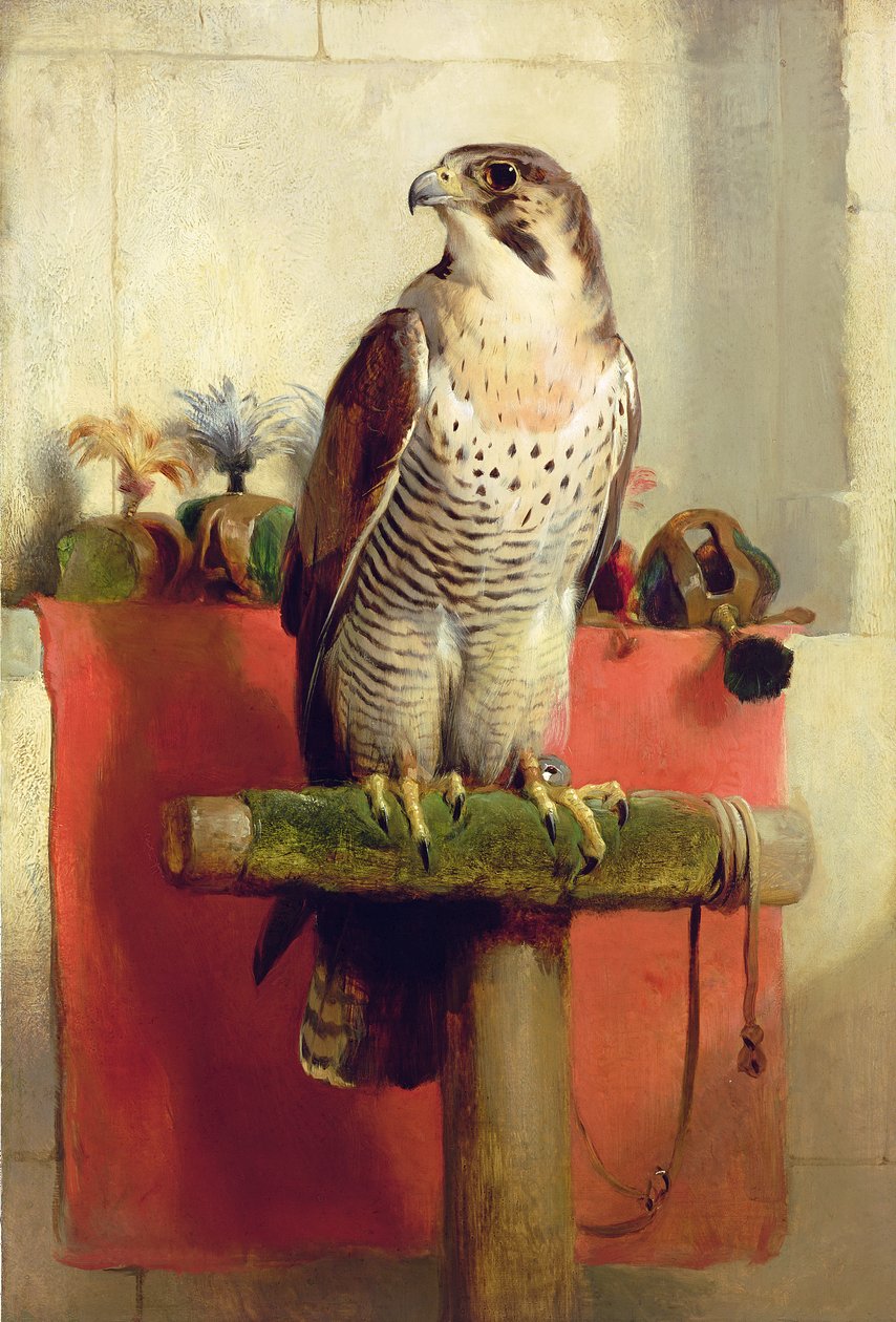 猎鹰，1837年 作者 埃德温·兰瑟
