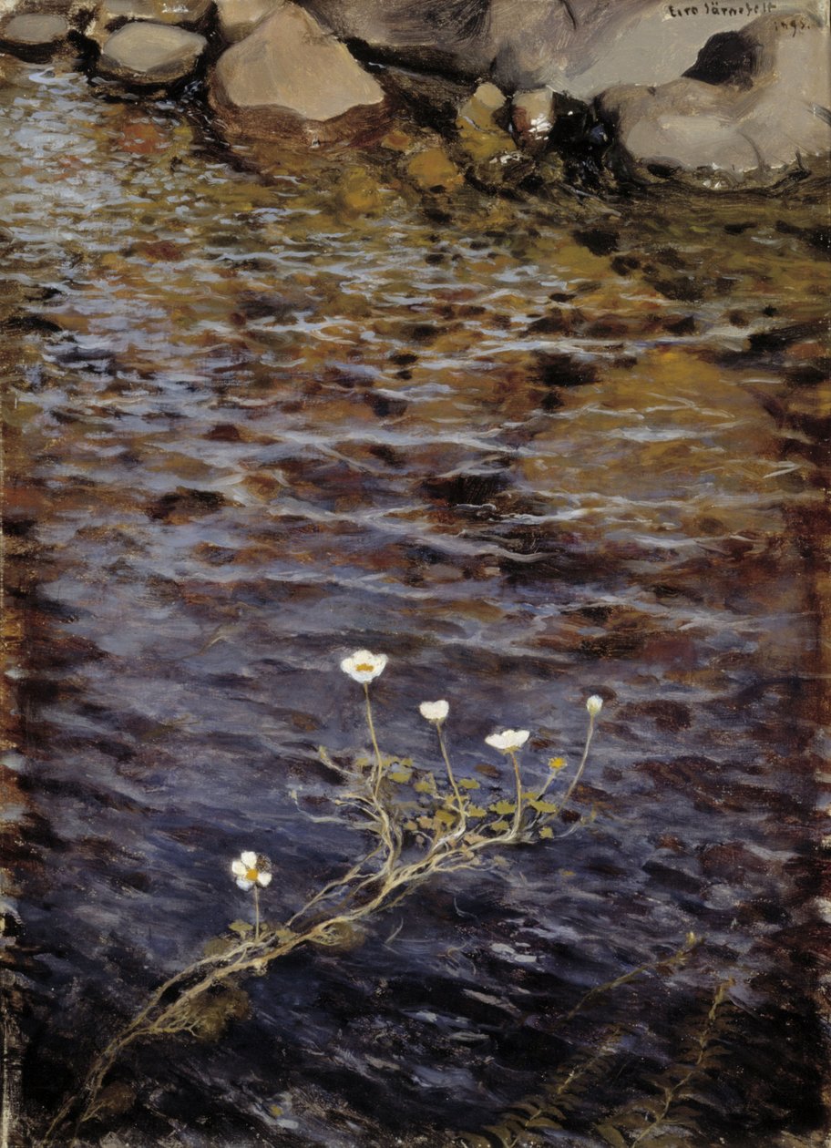 池塘水毛foot 作者 埃罗·耶恩费尔特（EeroJärnefelt）