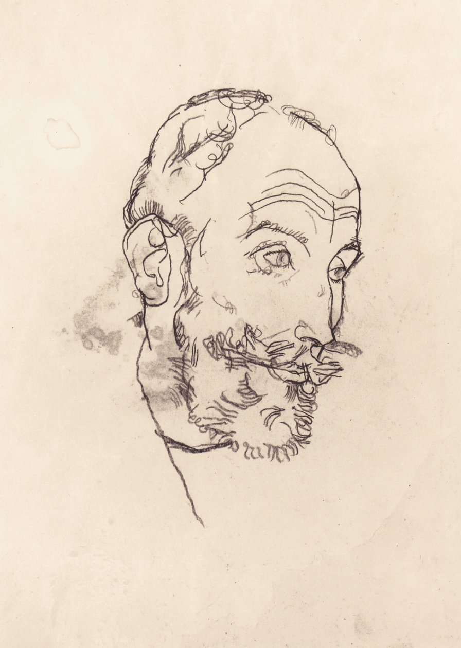 弗兰兹豪尔 作者 埃贡·席勒（Egon Schiele）