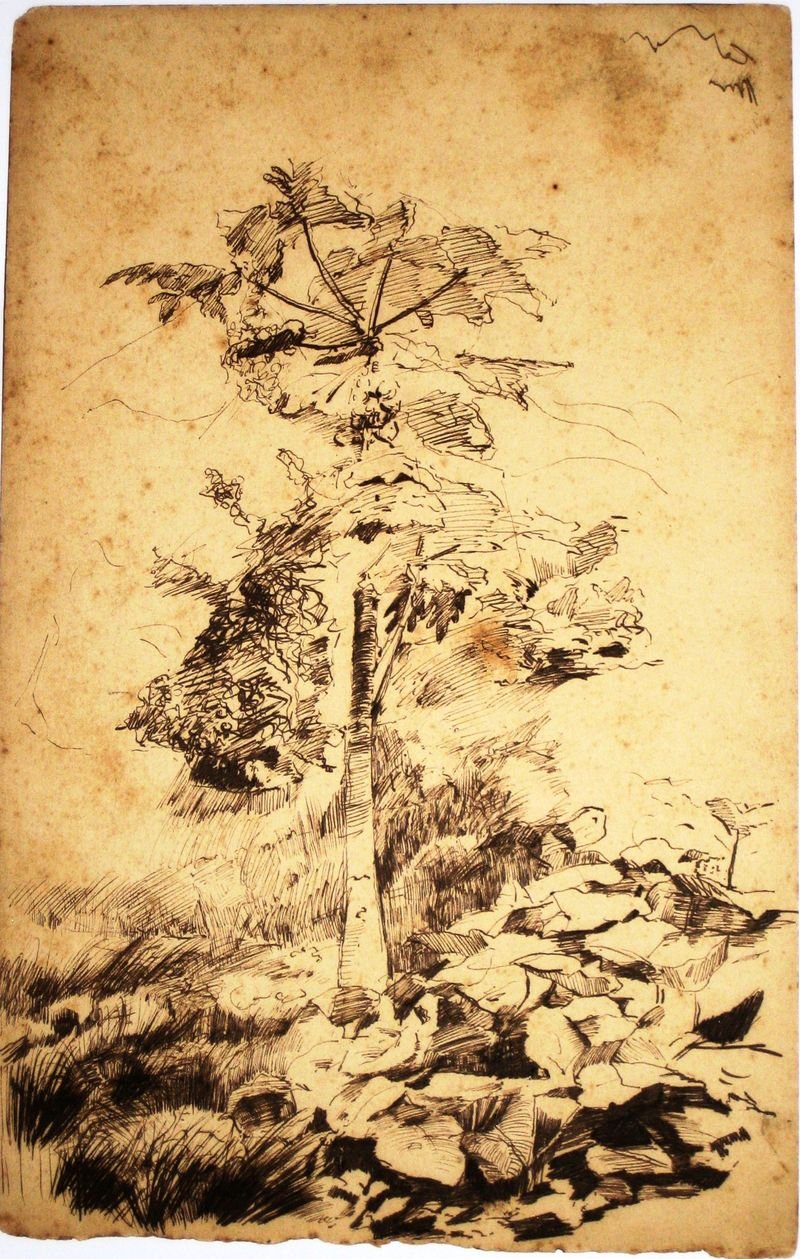 木瓜树 作者 伊丽莎·维斯康蒂（Eliseu Visconti）