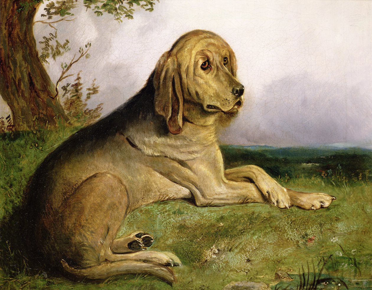 景观中的猎犬（油） 作者 英语学校