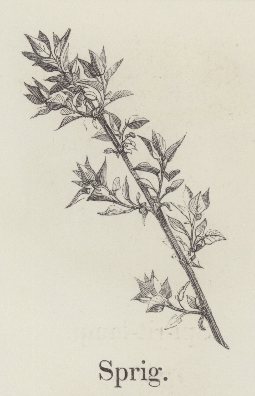 萌芽（雕刻） 作者 英语学校