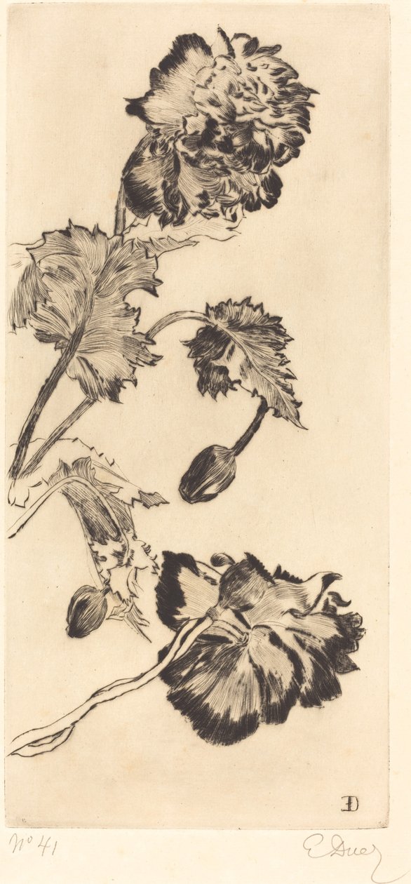 鲜花 作者 欧内斯特·安吉·杜埃兹
