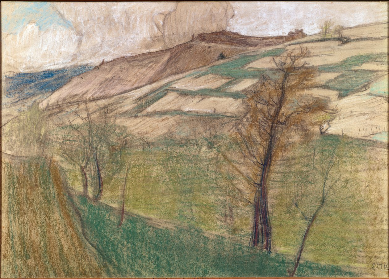 萨维耶斯周边的景观 作者 欧内斯特·比勒（Ernest Bieler）