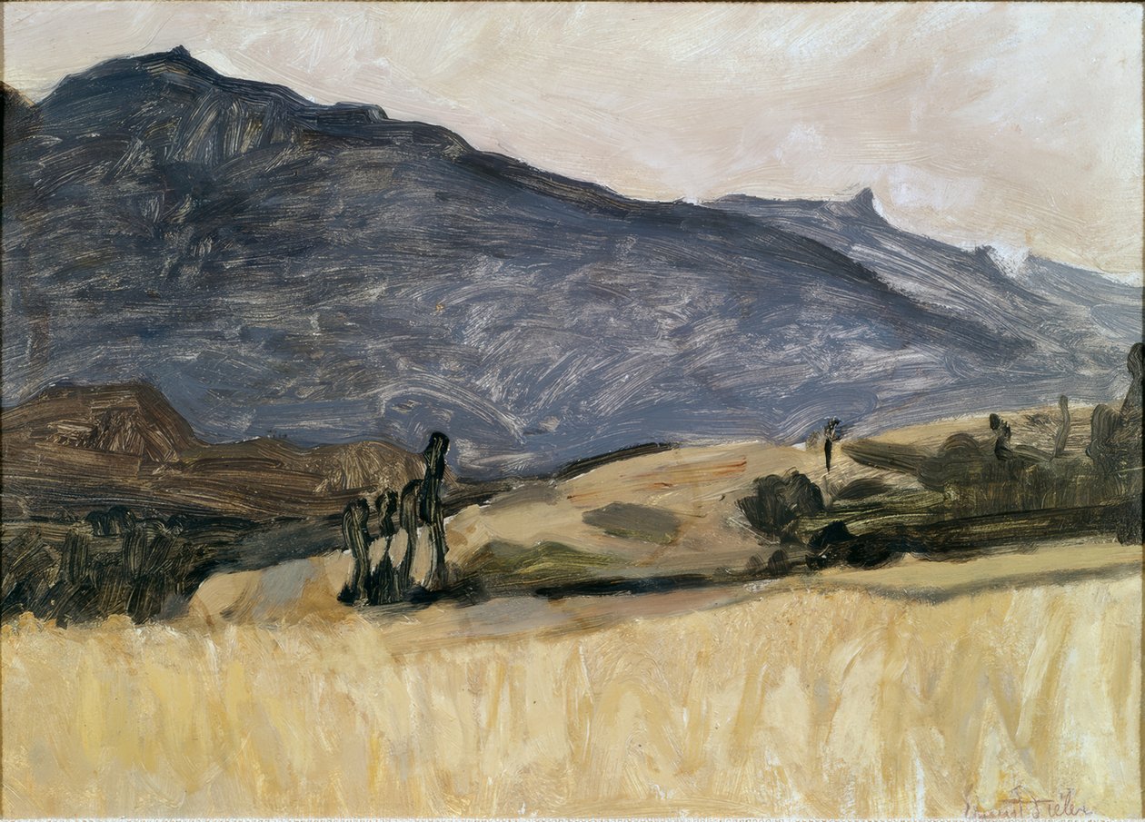 瓦莱州风景 作者 欧内斯特·比勒（Ernest Bieler）