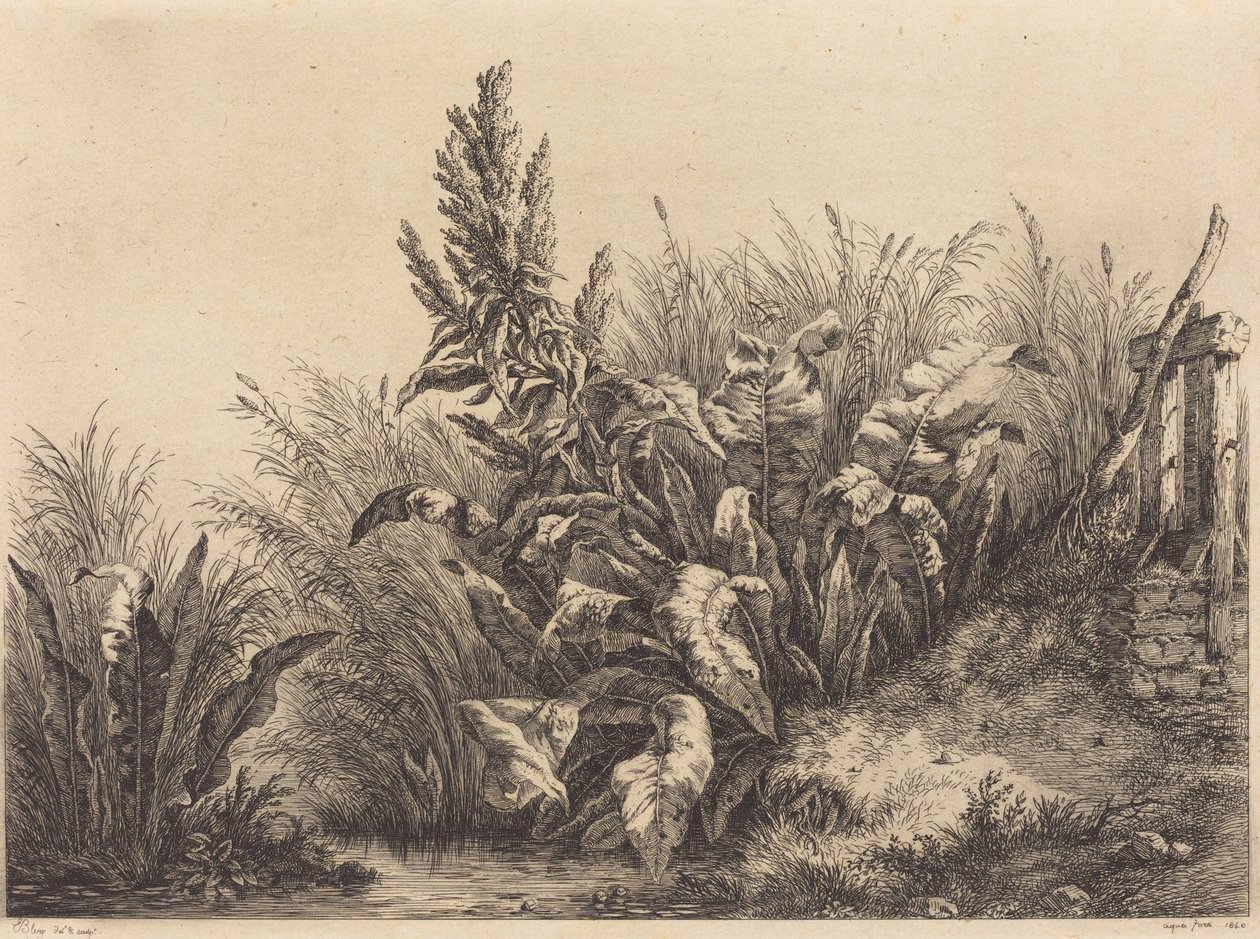 水码头，1840年。 作者 尤金·布莱