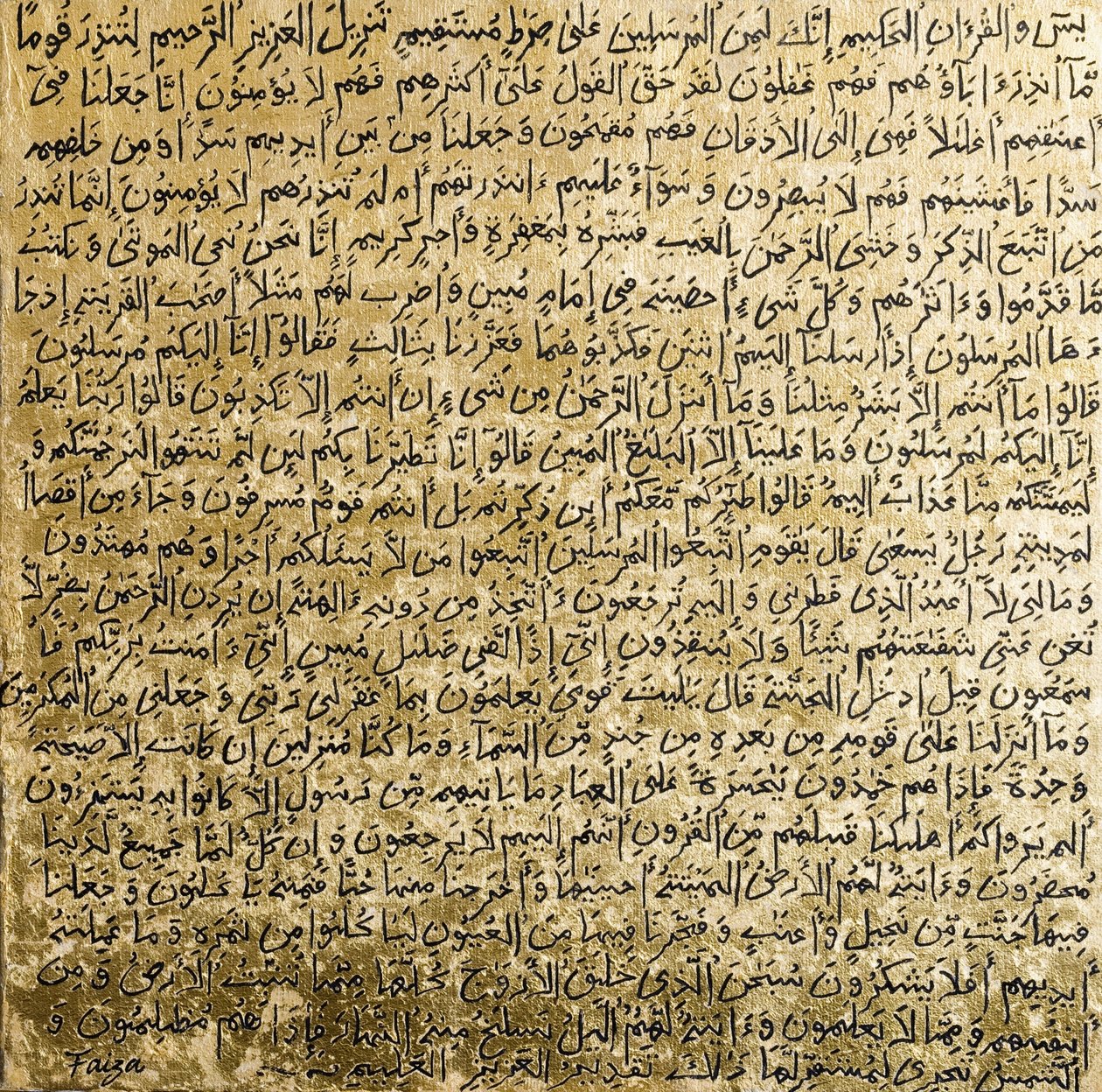 Yasin，2007年（混合媒体） 作者 法扎·谢赫（Faiza Shaikh）