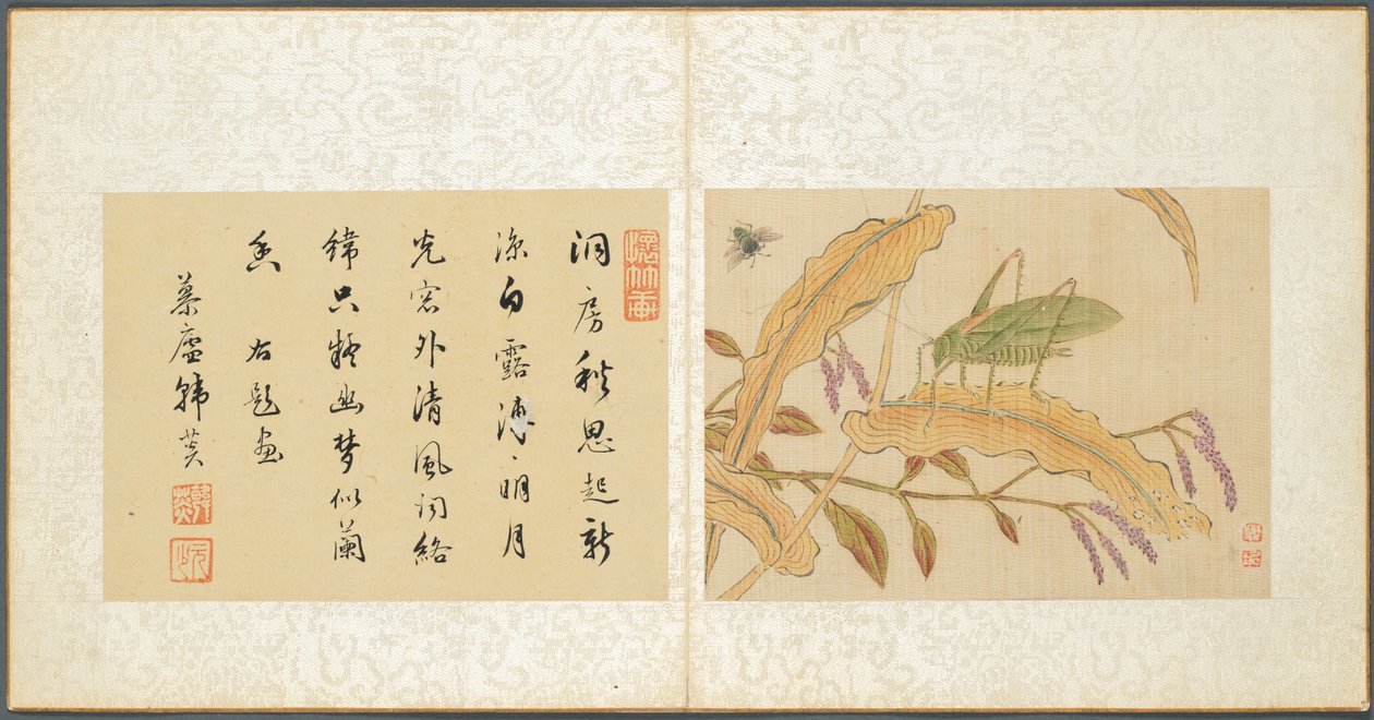 杂项专辑，第7叶，1600年代。 作者 范琦