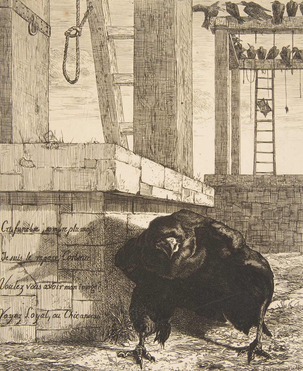 乌鸦》，1859年。 作者 费利克斯·布拉克蒙德