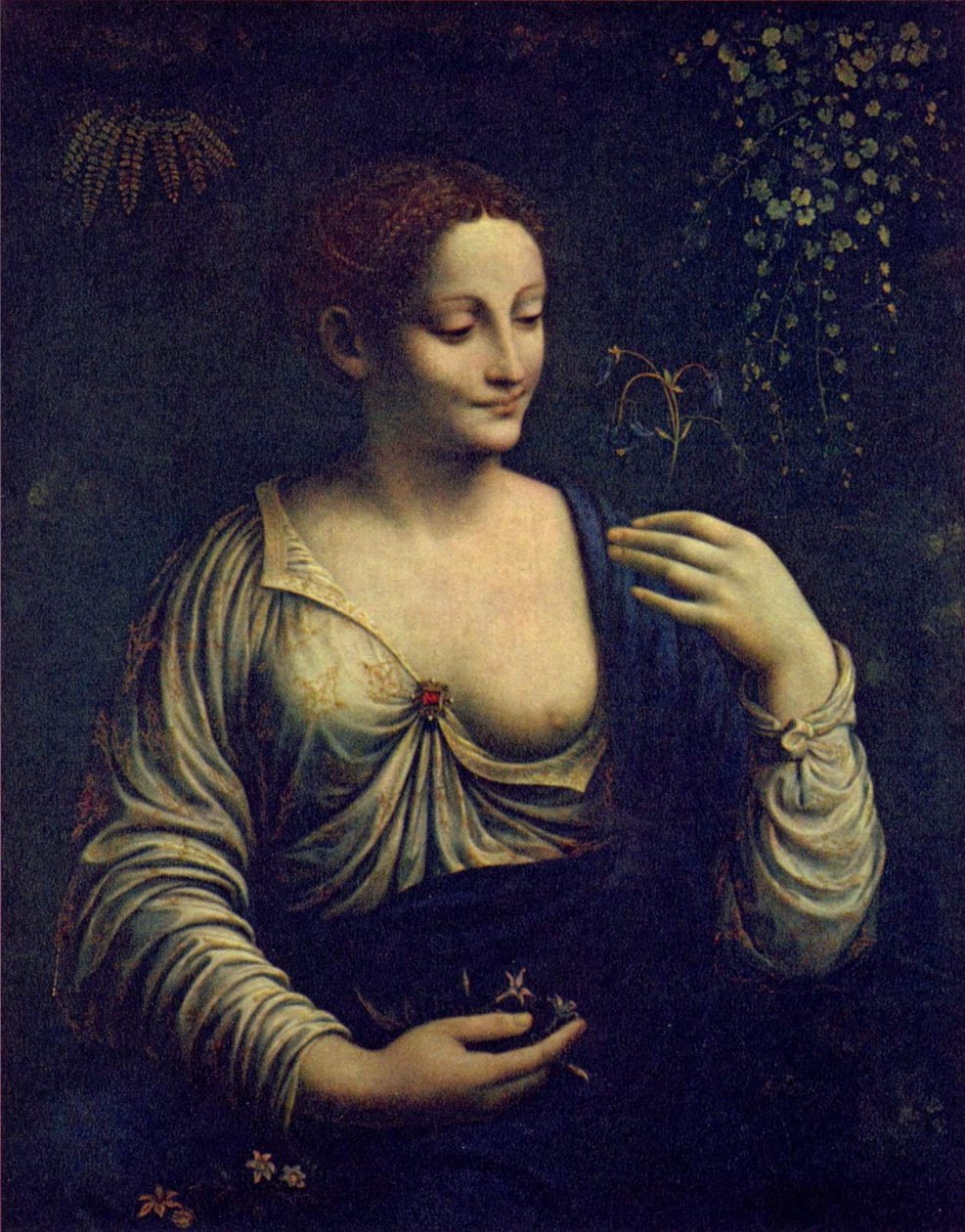 植物群 作者 弗朗切斯科·梅尔齐（Francesco Melzi）