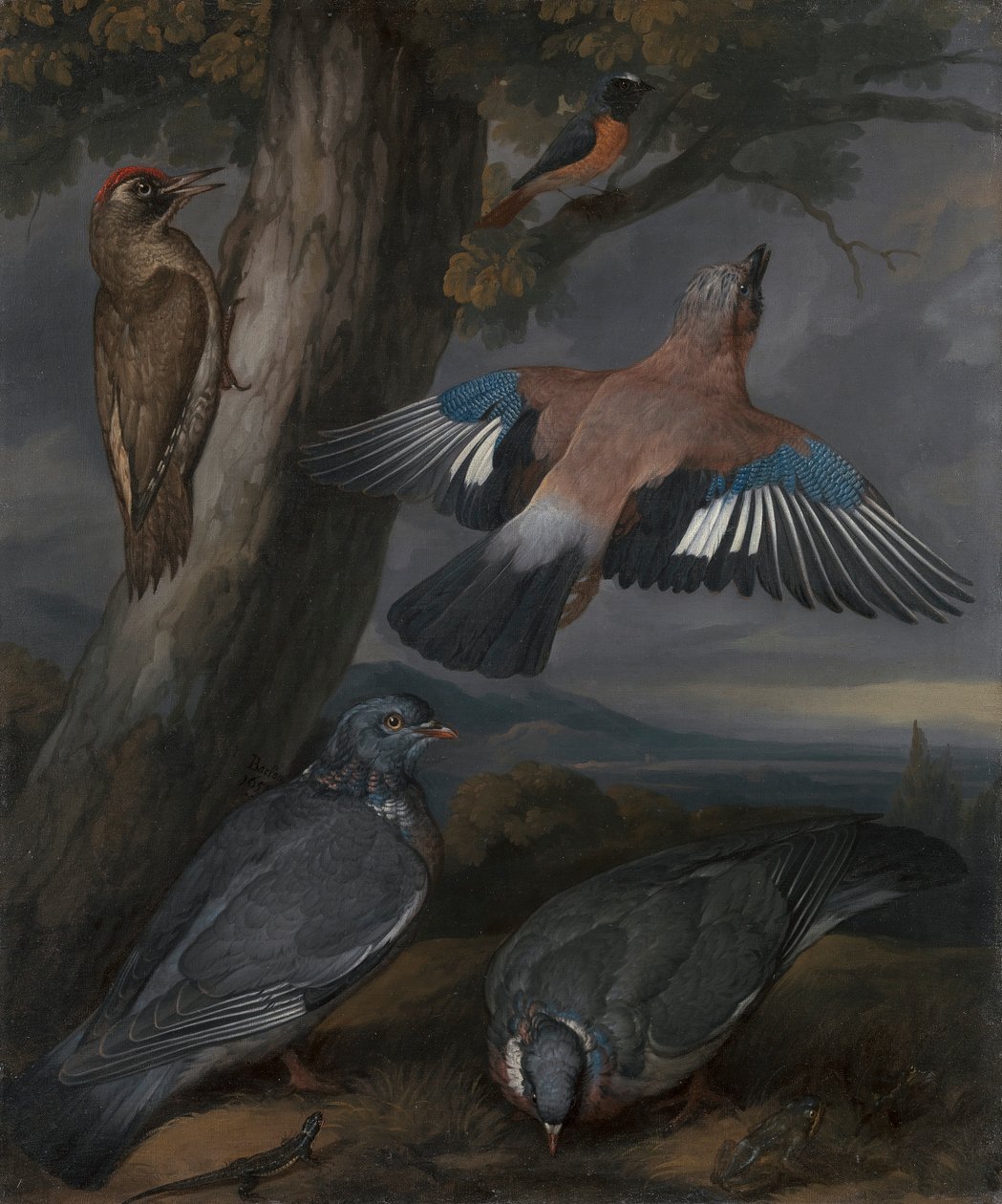 Jay, Green Woodpecker, Pigeons, and Redstart 作者 弗朗西斯·巴洛