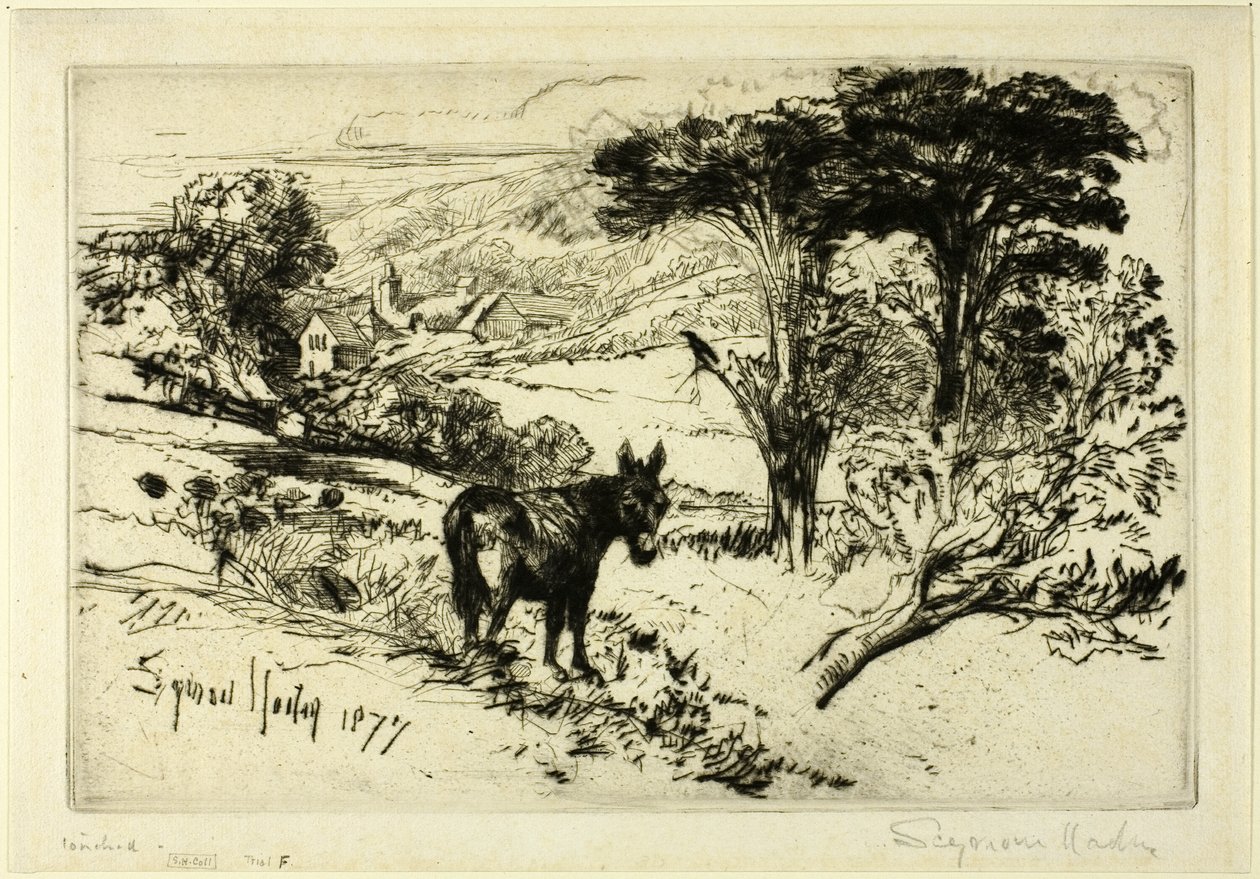 查洛农场 作者 弗朗西斯·西摩·哈登（Francis Seymour Haden）