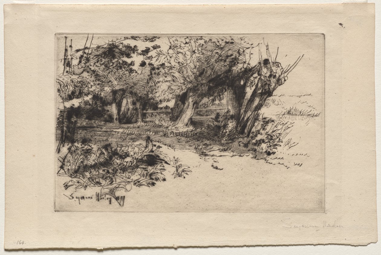 柳树 作者 弗朗西斯·西摩·哈登（Francis Seymour Haden）