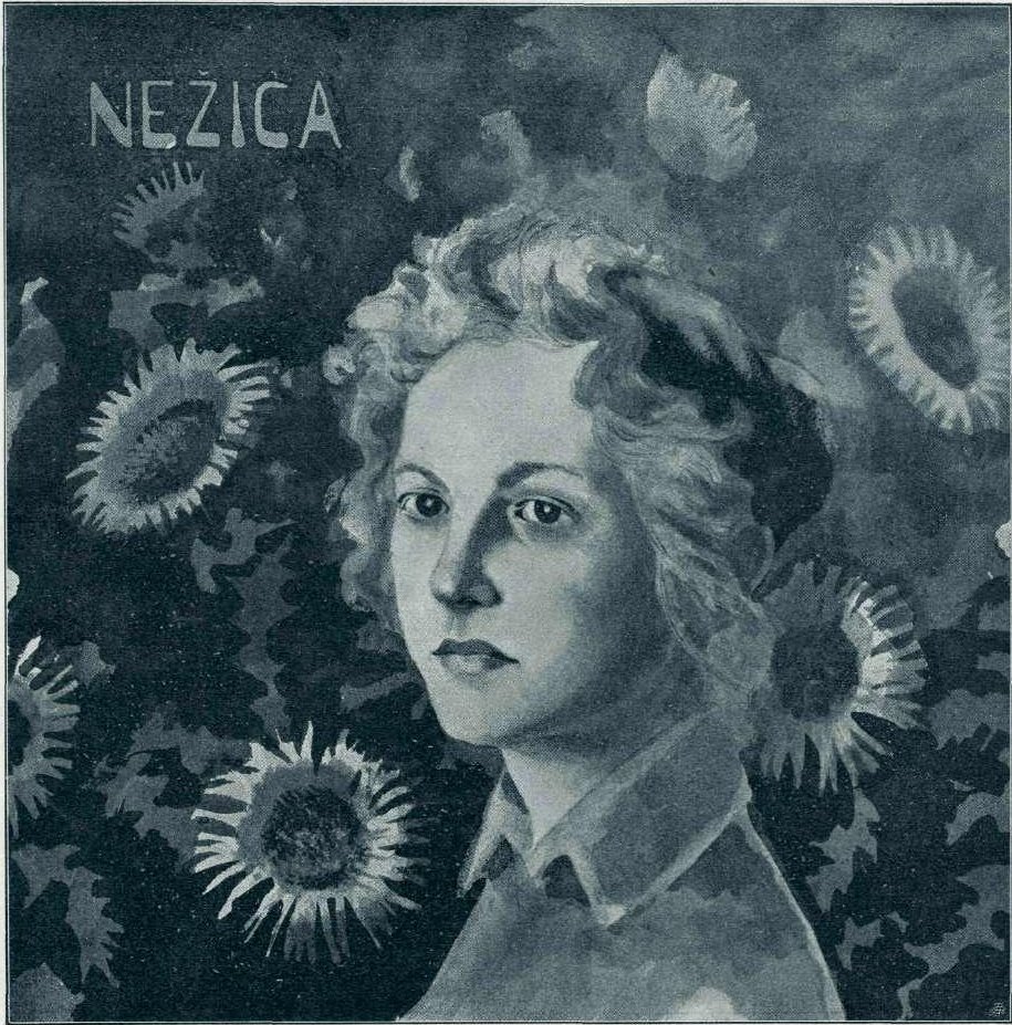 Nezican 作者 弗朗西塞克·多布尼卡