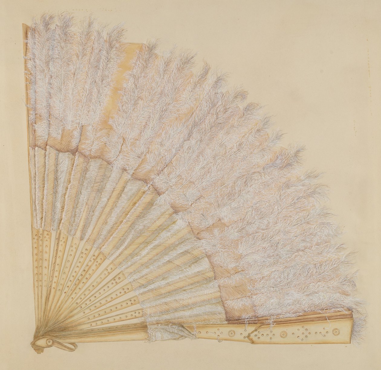 风扇 作者 弗兰克·毛雷尔