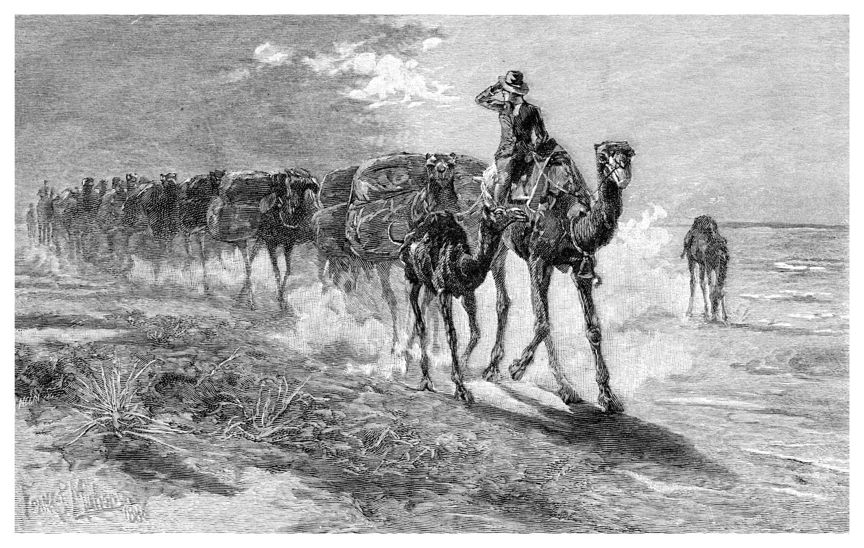 骆驼背着羊毛，1886年。 作者 弗兰克·马洪尼
