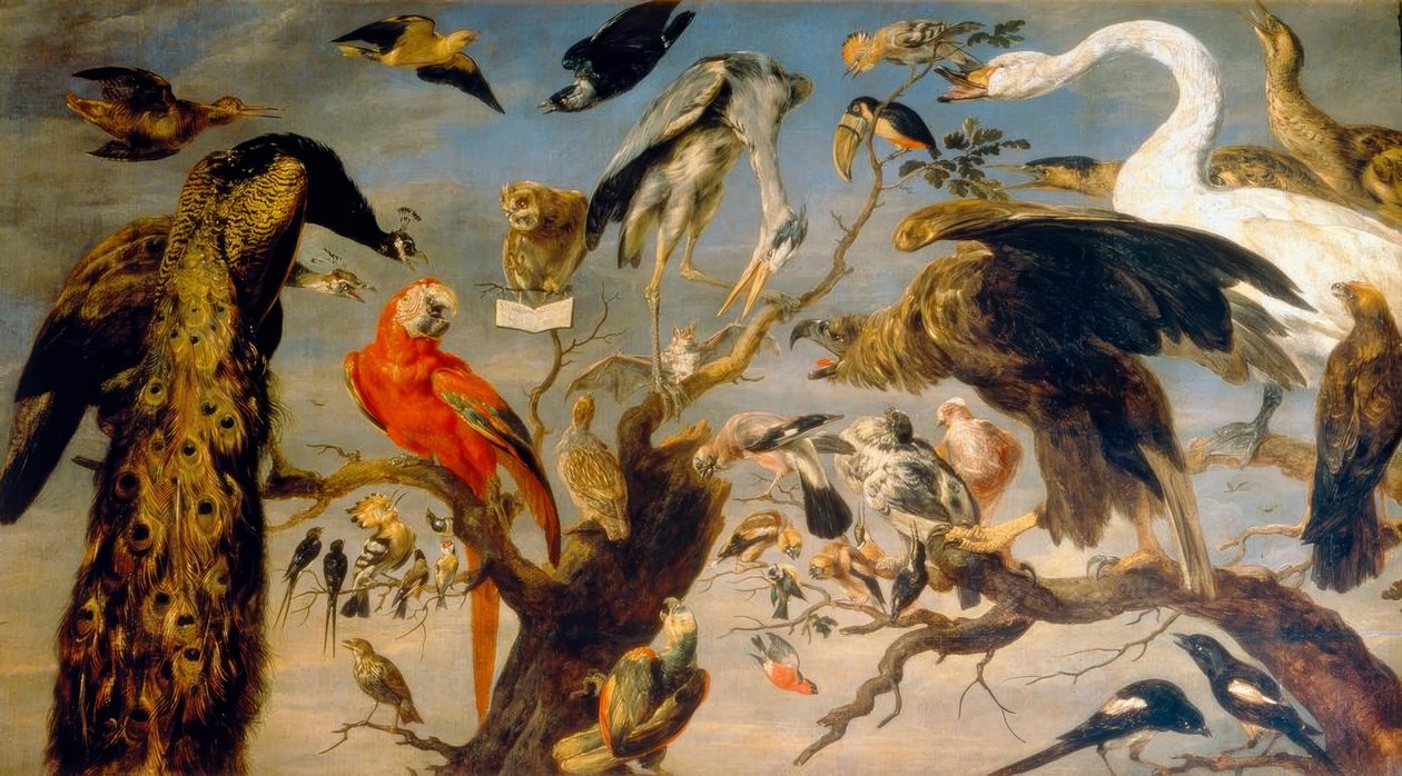 鸟音乐会 作者 Frans Snyders或Snijders