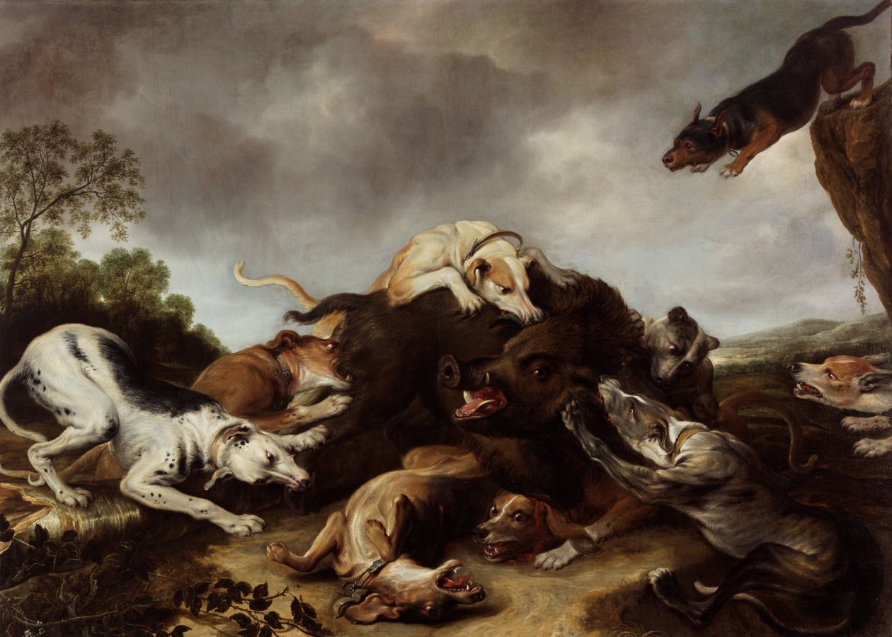 野猪狩猎 作者 Frans Snyders或Snijders
