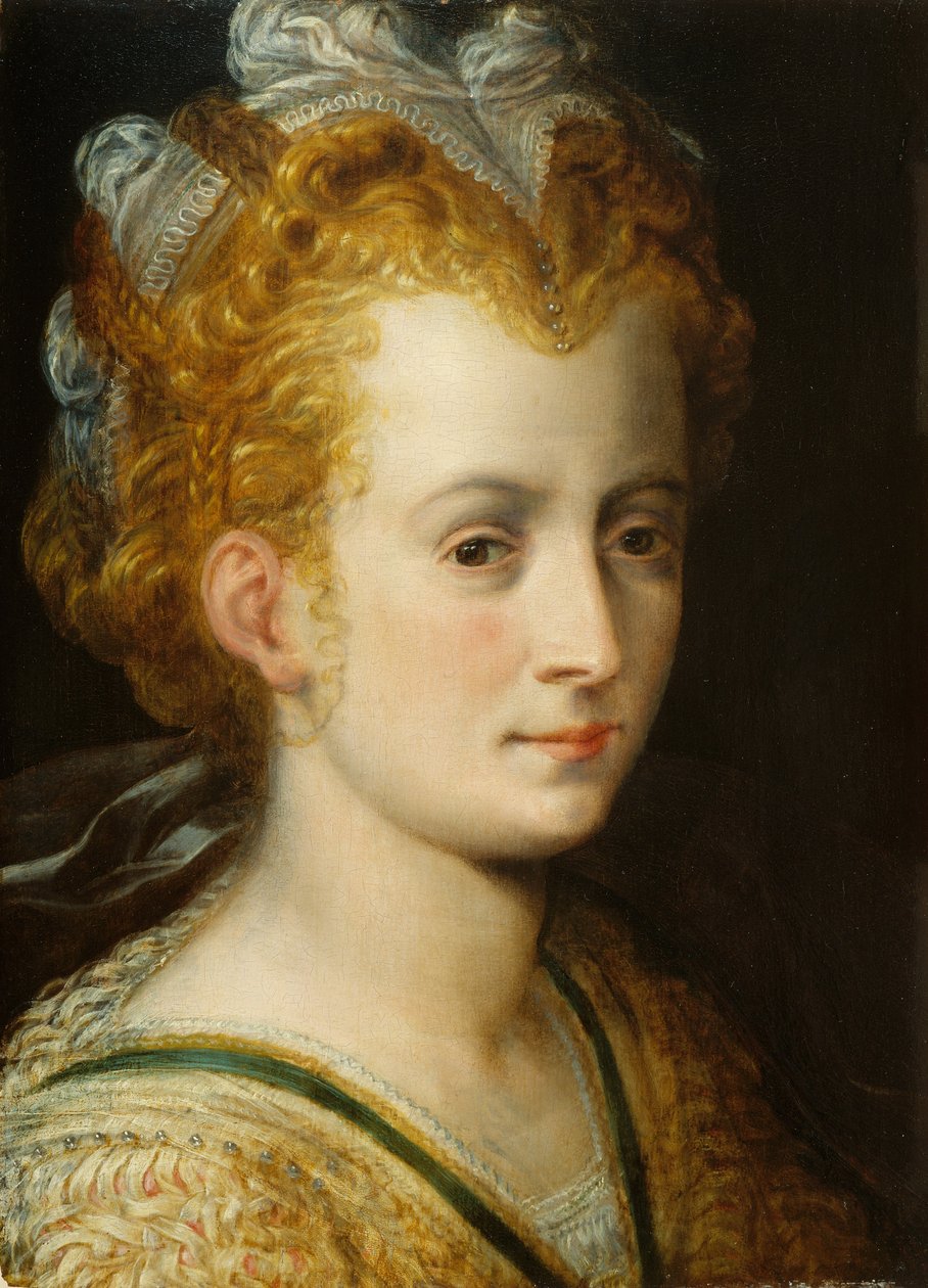 一名年轻女子的头，c.1555 作者 弗朗斯·弗洛里斯（Frans Floris）