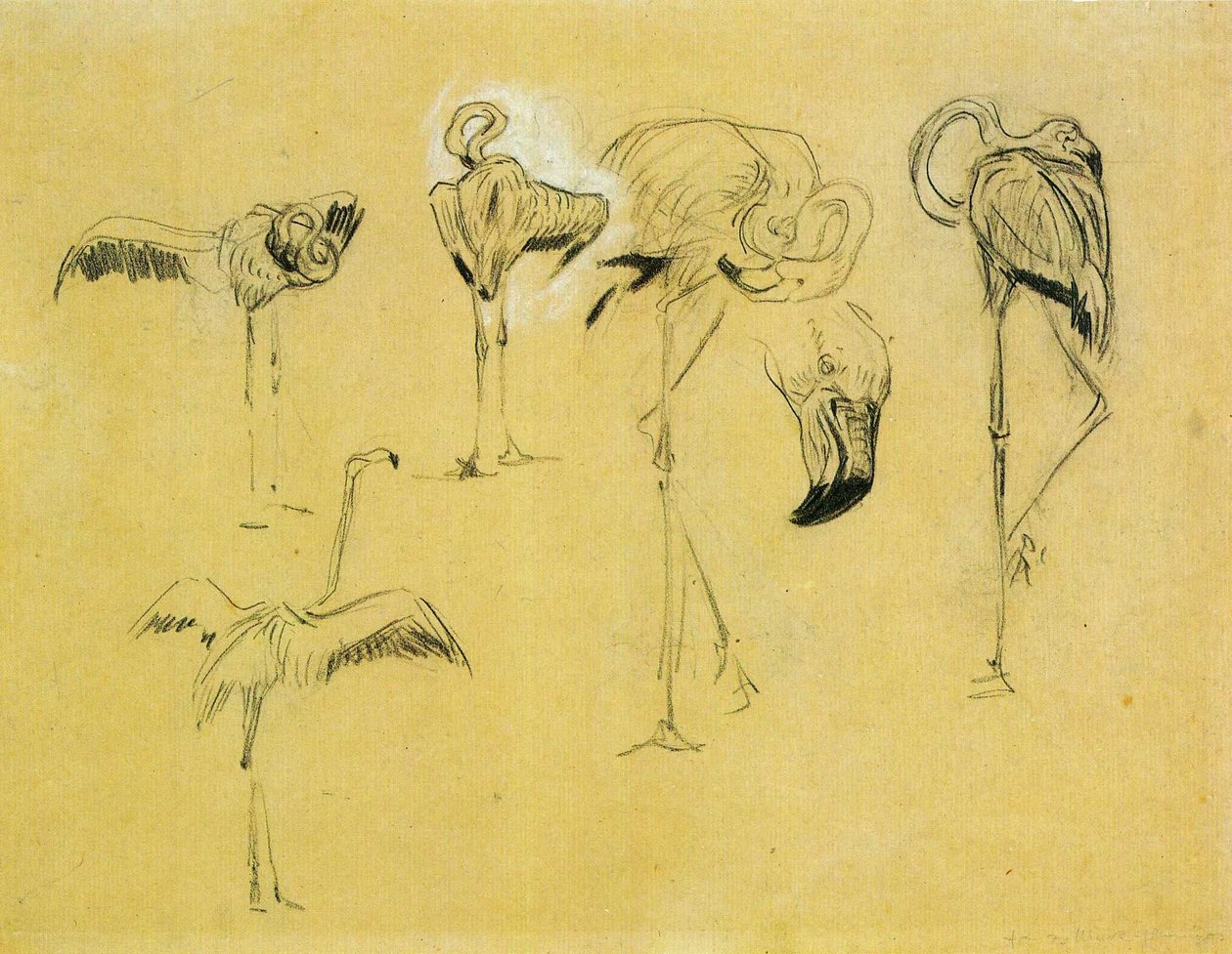 火烈鸟 作者 弗朗兹·马克（Franz Marc）
