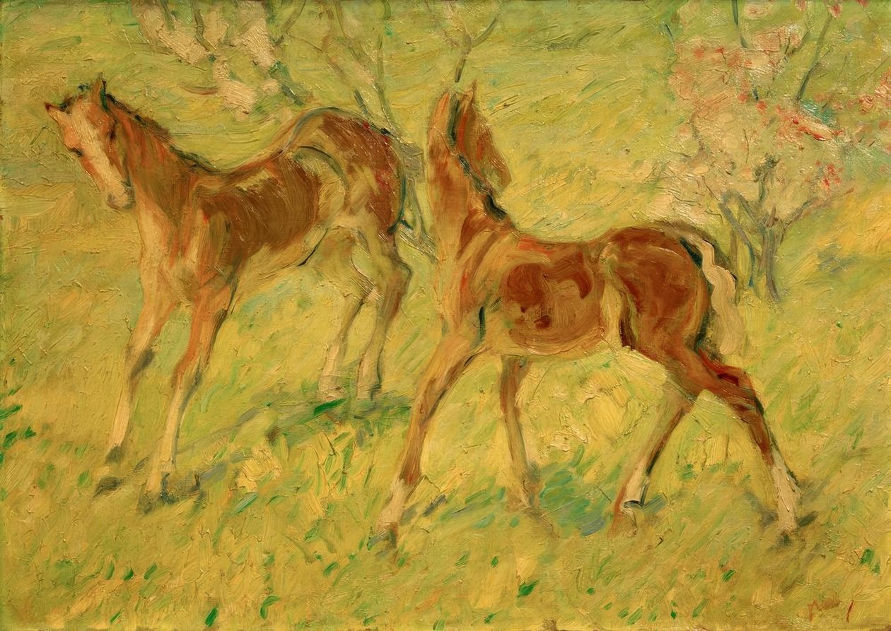 牧场中的驹（跳跃驹） 作者 弗朗兹·马克（Franz Marc）
