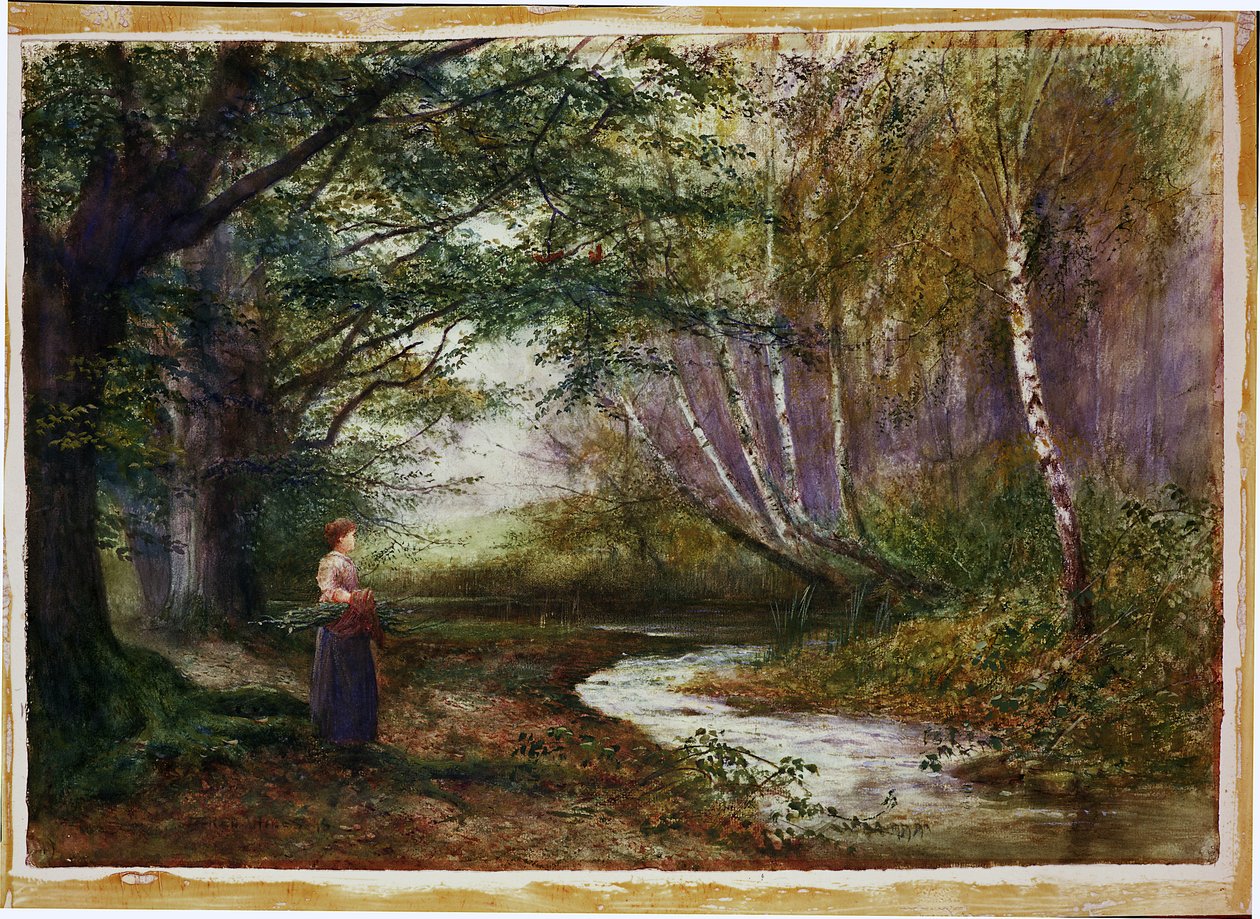 Burnham Beeches，秋季 作者 弗雷德·海因斯