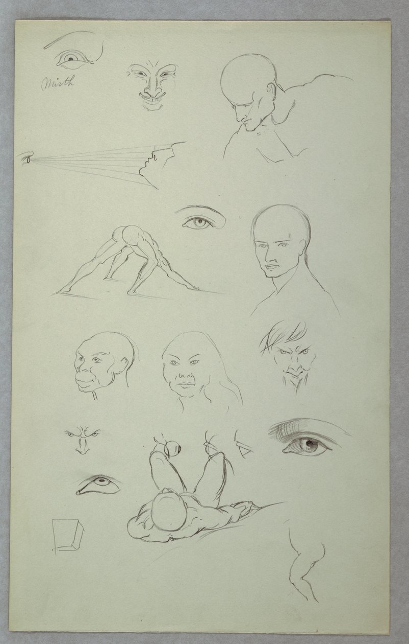 解剖学 作者 弗雷德里克·埃德温·丘奇