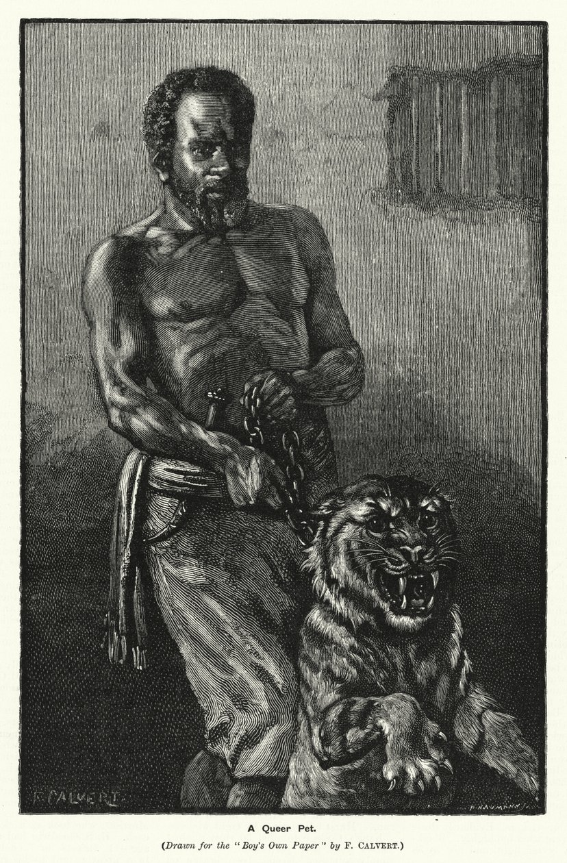 A Queer Pet (engraving) 作者 弗雷德里克（后）卡尔弗特