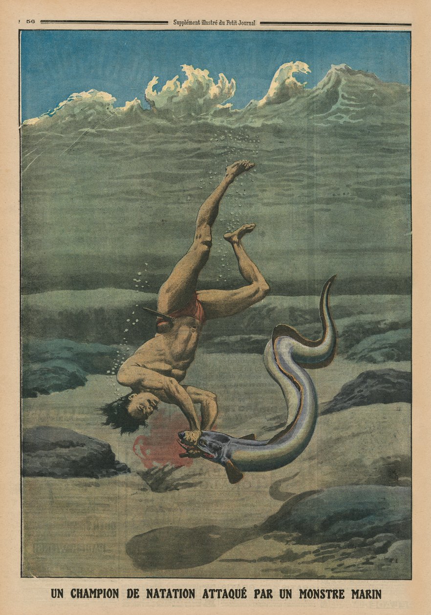 一名海怪袭击的游泳冠军，来自&39;Le Petit Journal&39;的封底插图，补充说明，1913年2月16日 作者 法语学校