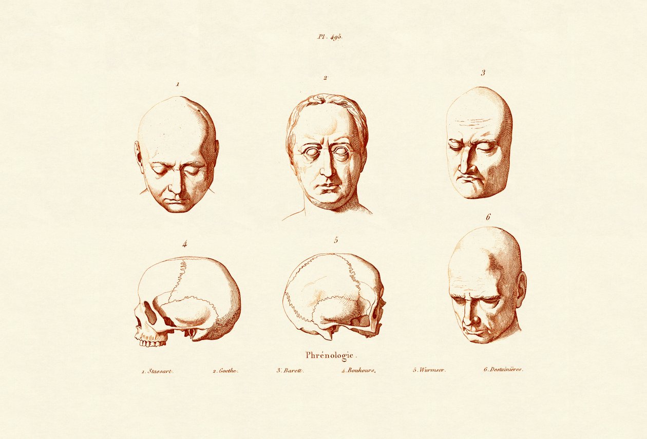 颅相学，1833-39 作者 法语学校