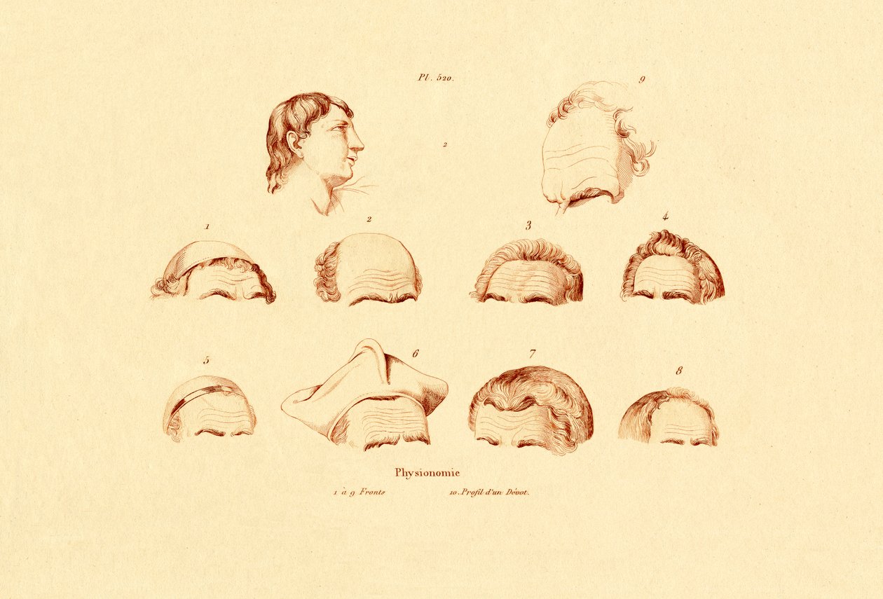 首领，1833年至1939年 作者 法语学校