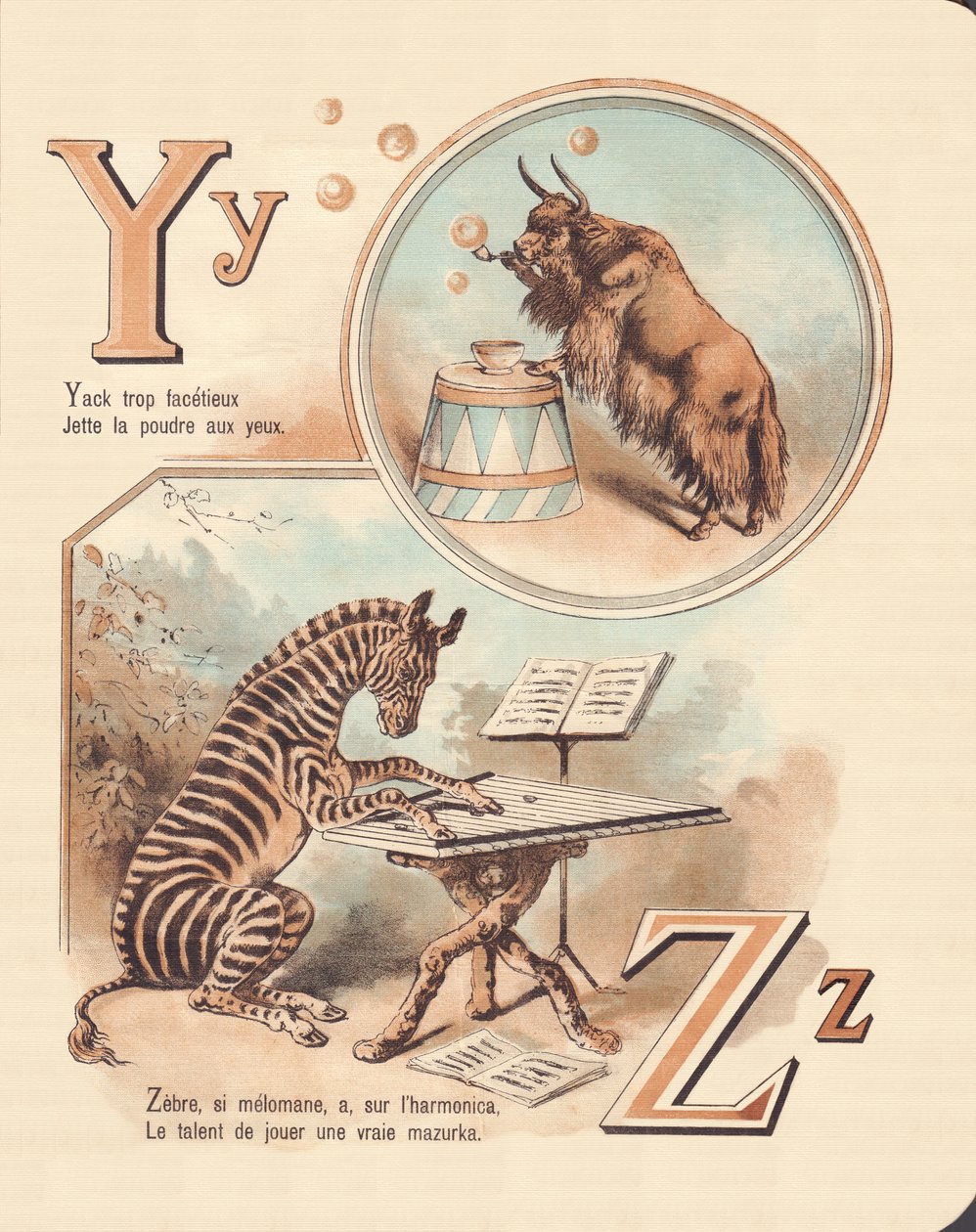 YZ：是的，斑马 作者 法语学校