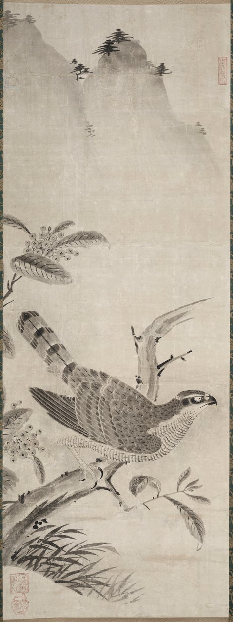 鹰 作者 藤原正佳