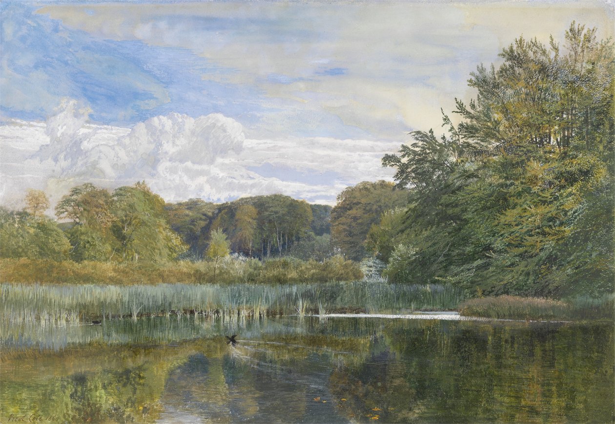 The Mill Pond，Evelyn Woods，1860 作者 乔治·维卡特·科尔