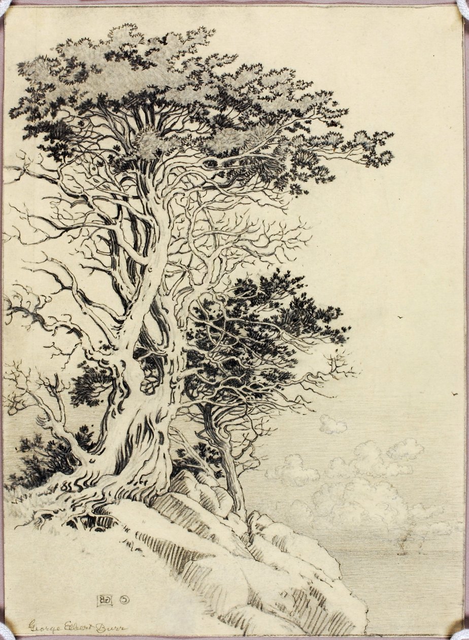 无题（供印刷用的图画） 作者 乔治·埃尔伯特·布尔